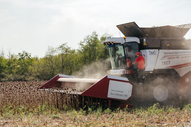 На Дону озимыми засеяно более 80% площадей